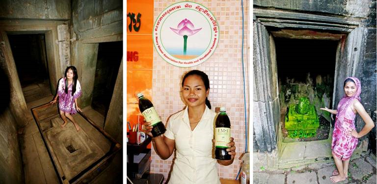 Cambodia_temple_shrine_fertilizer.jpg