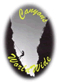 Canyons Logo