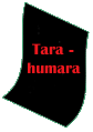 Tarahumara